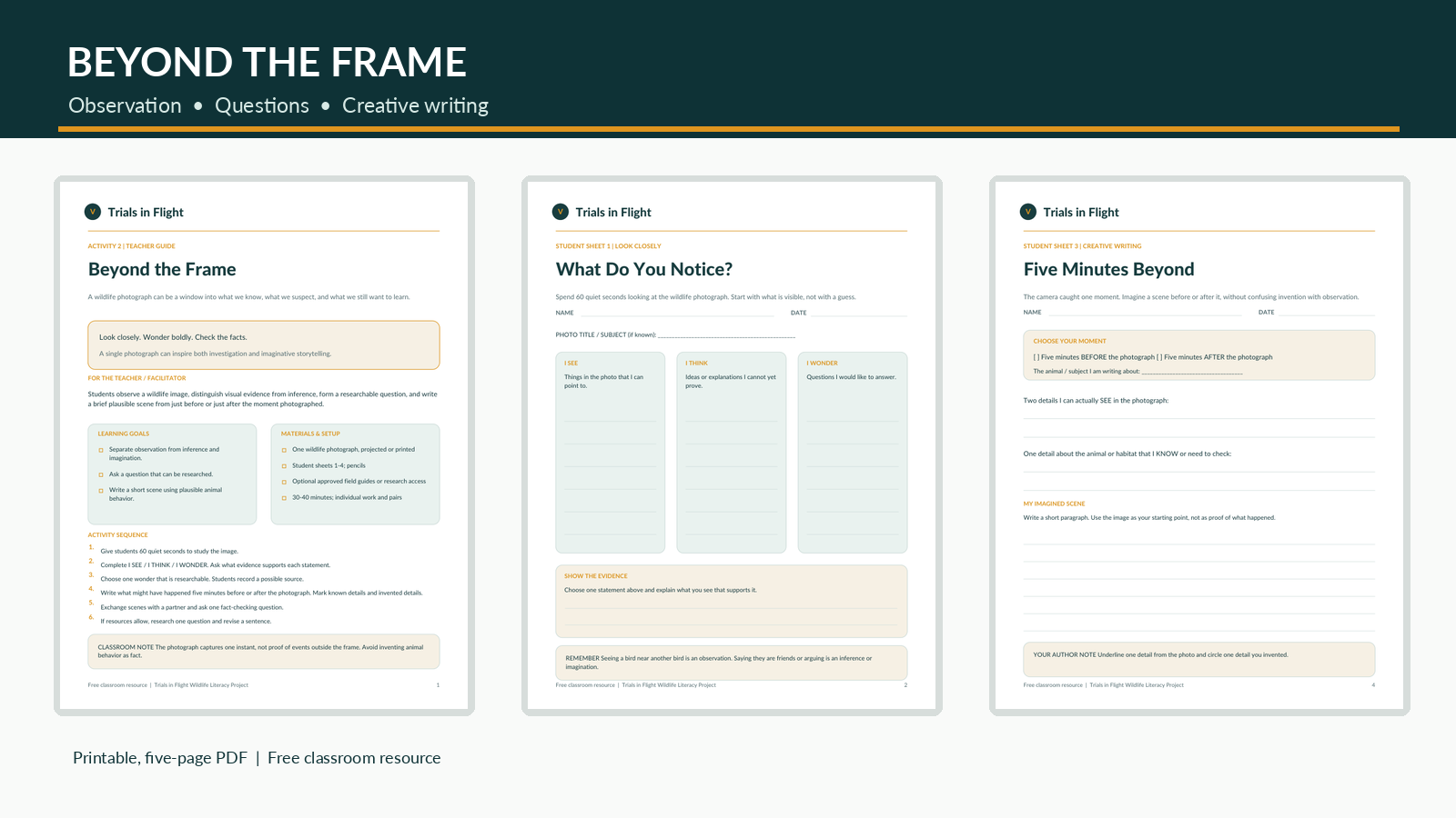 Preview of the Beyond the Frame teacher guide and student worksheets