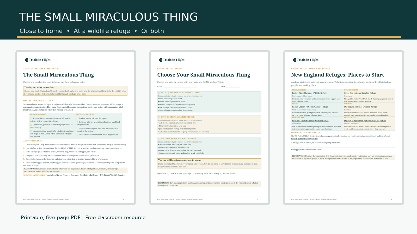 Preview of The Small Miraculous Thing teacher and family guide, Choose Your Small Miraculous Thing worksheet, and New England refuges worksheet