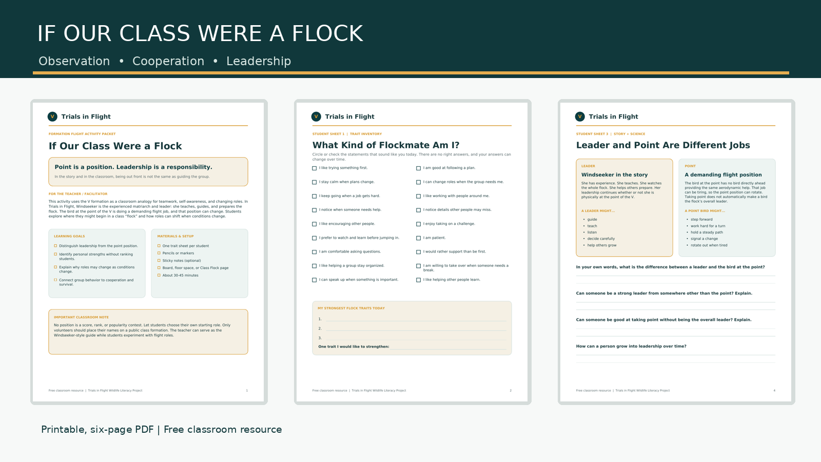 Three sample pages from If Our Class Were a Flock: teacher guide, flockmate traits, and leadership versus the point position